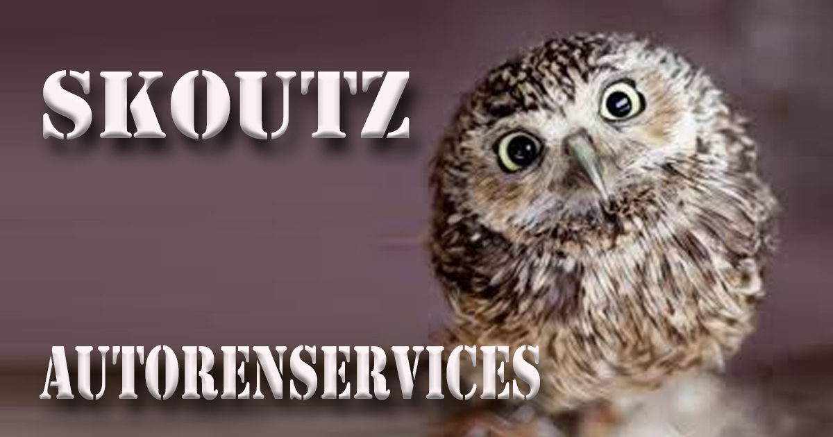 S4S Skoutz Autorenservices