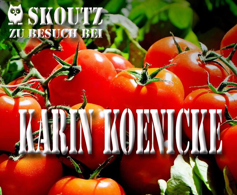 Interview, Skoutz interviewt Karin Koenicke, Autoreninterview Karin Koenicke