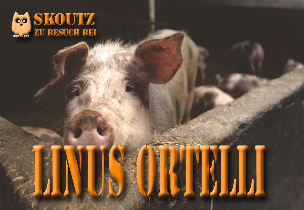 Skoutz-Interview Linus Ortelli