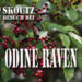 Skoutz-Autoreninterview Odine Raven
