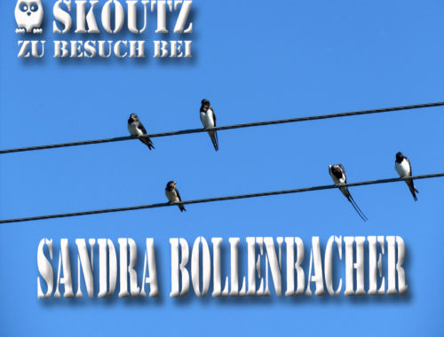 Sandra Bollenbacher im Skoutz-Interview