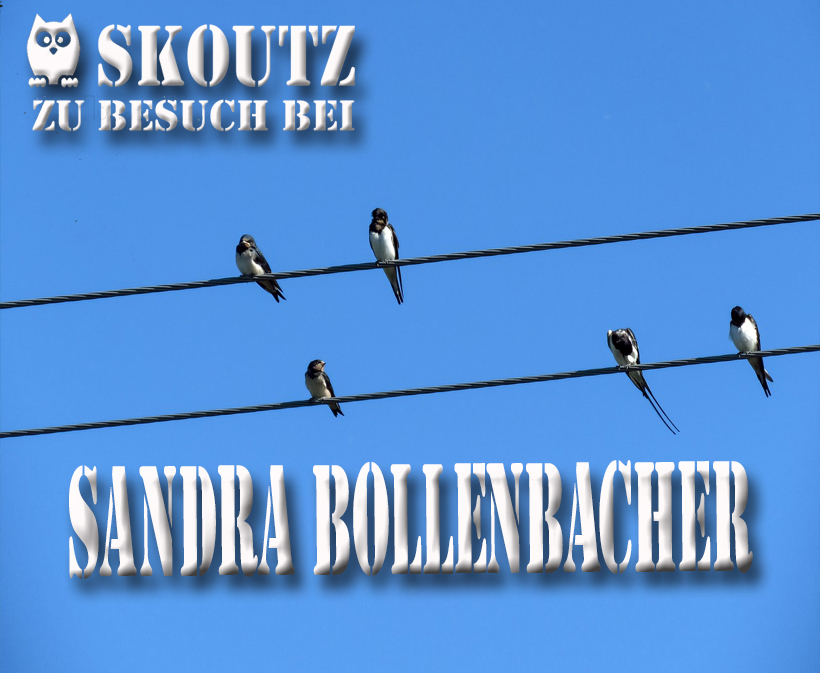 Sandra Bollenbacher im Skoutz-Interview