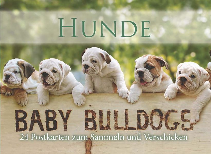 Cover von Postkartenbuch Hunde – Baby Bulldogs
