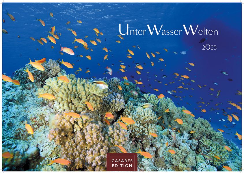 Cover von Unterwasserwelten 2025 S 24x35cm