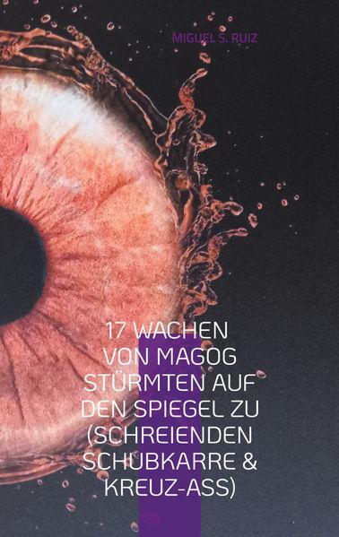Cover von 17 Wachen von Magog Stürmten auf den Spiegel zu (Schreienden Schubkarre & Kreuz-Ass)
