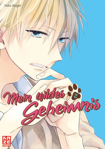 Cover von Mein wildes Geheimnis 02