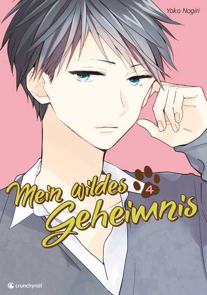 Cover von Mein wildes Geheimnis 04