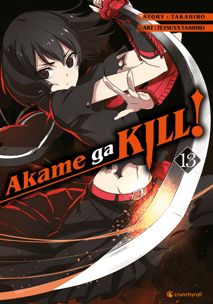 Cover von Akame ga KILL! 13
