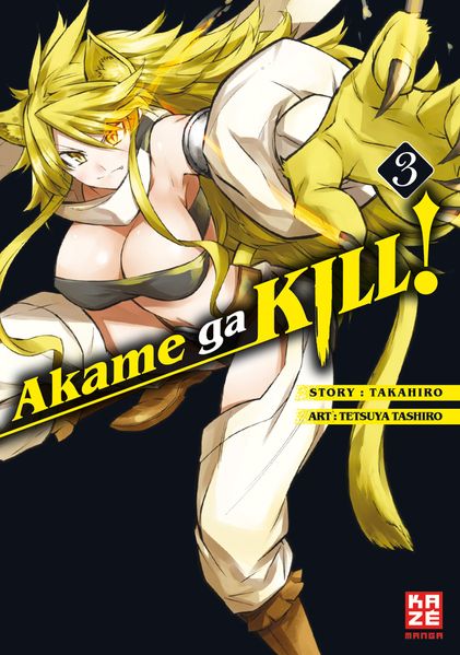 Cover von Akame ga KILL! 03