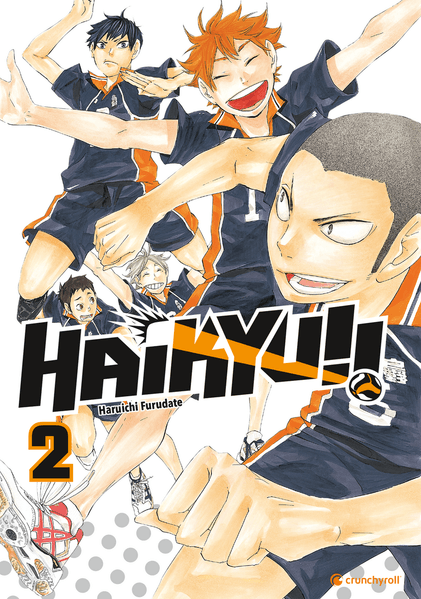 Cover von Haikyu!! 02