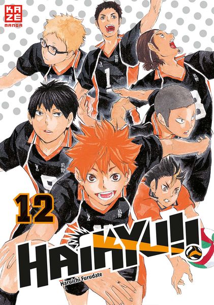 Cover von Haikyu!! 12