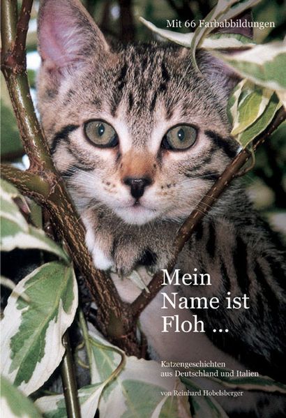 Cover von Mein Name ist Floh…