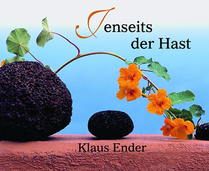 Cover von Jenseits der Hast