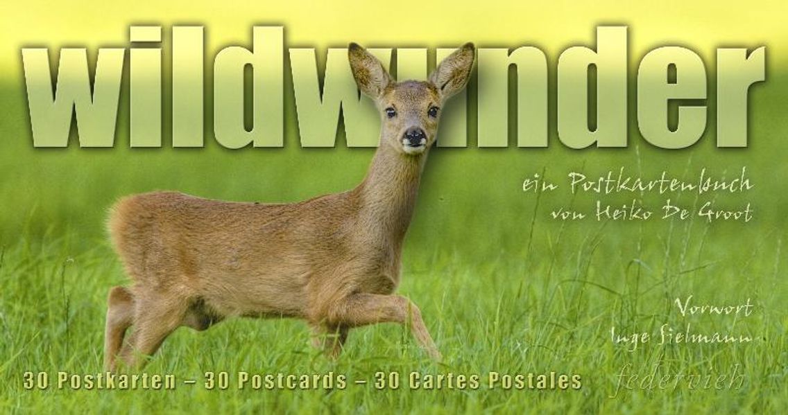 Cover von wildwunder