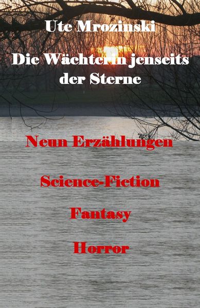 Cover von Die Wächterin jenseits der Sterne