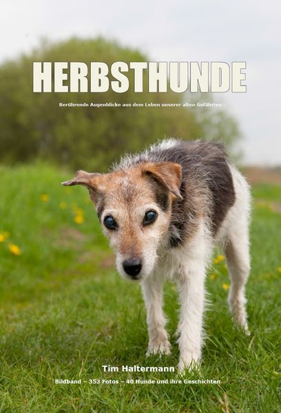 Cover von HERBSTHUNDE