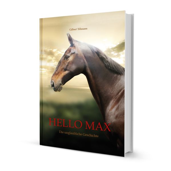 Cover von Hello Max