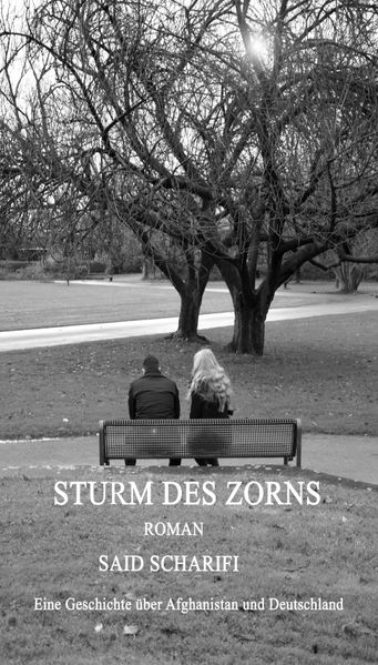 Cover von Sturm des Zorns