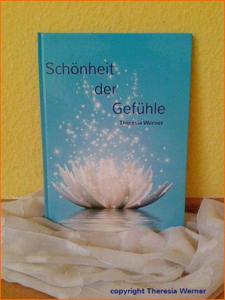 Cover von Schönheit der Gefühle