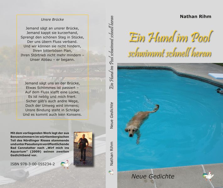 Cover von Ein Hund im Pool schwimmt schnell heran