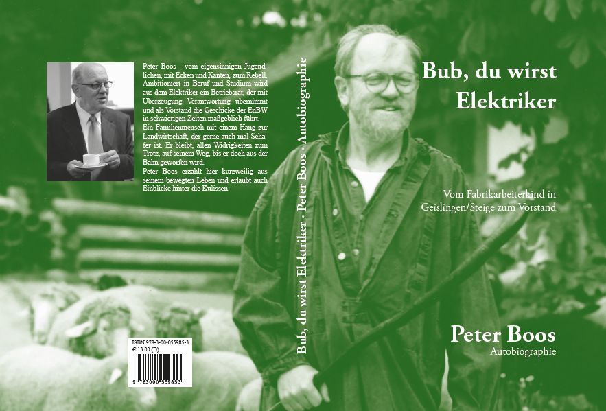 Cover von Bub du wirst Elektriker