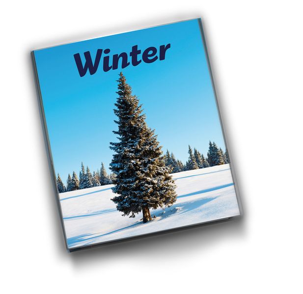 Cover von Winter