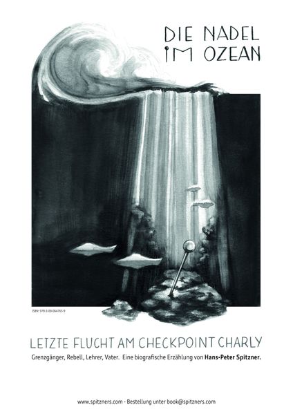 Cover von Die Nadel im Ozean