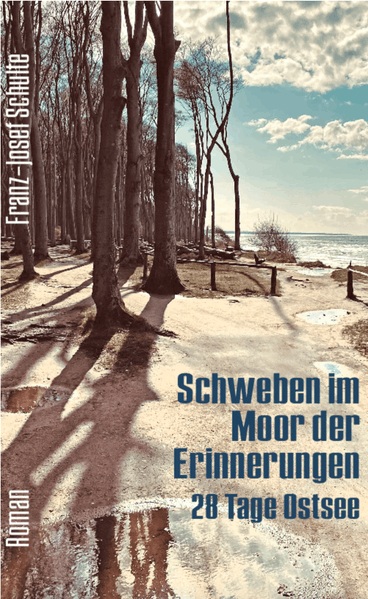 Cover von Schweben im Moor der Erinnerungen