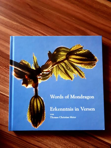 Cover von Words of Mondragon