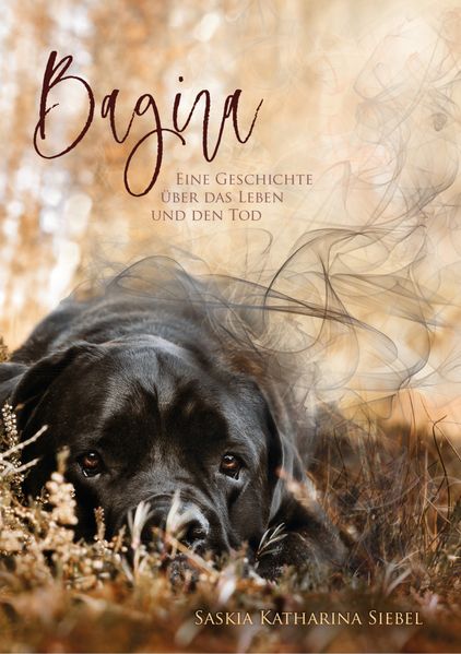 Cover von Bagira