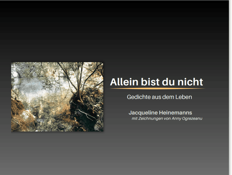 Cover von Allein bist du nicht