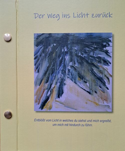 Cover von Der Weg ins Licht zurück