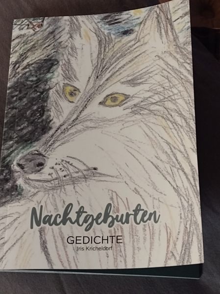 Cover von Nachtgeburten