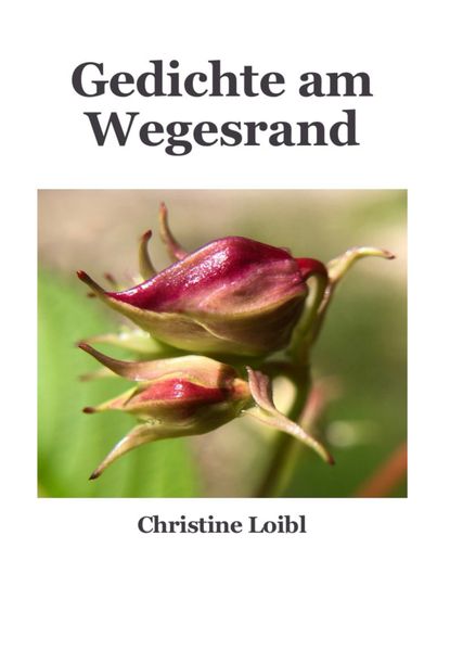 Cover von Gedichte am Wegesrand