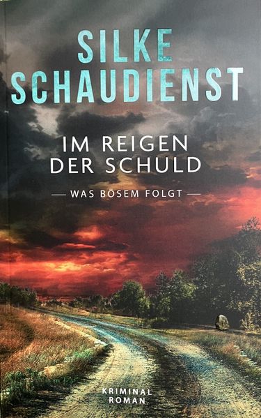 Cover von Im Reigen der Schuld