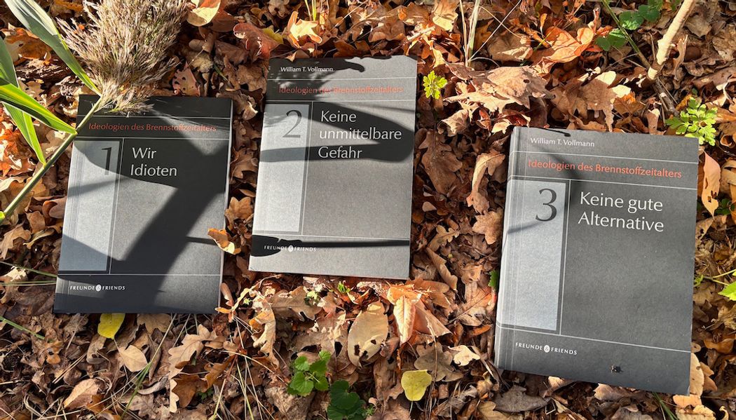 Cover von Ideologien des Brennstoffzeitalters