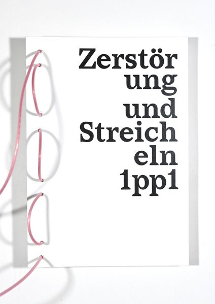 Cover von Zerstörung und Streicheln