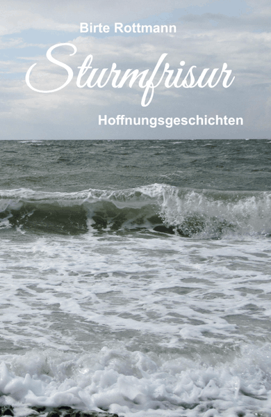 Cover von Sturmfrisur