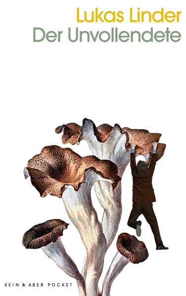 Cover von Der Unvollendete