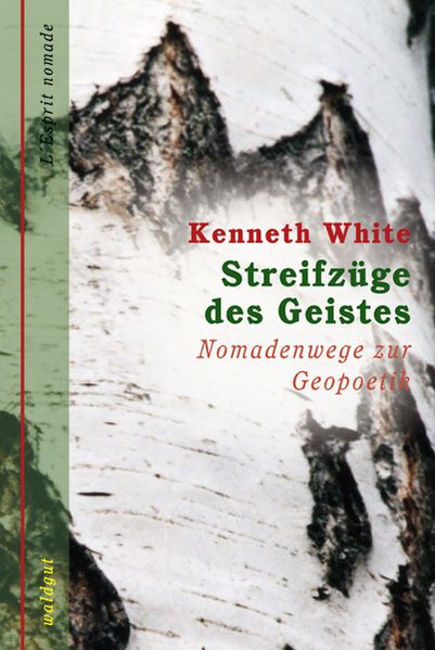 Cover von Streifzüge des Geistes