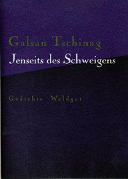 Cover von Jenseits des Schweigens