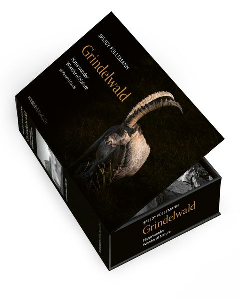 Cover von Postkartenbox Grindelwald