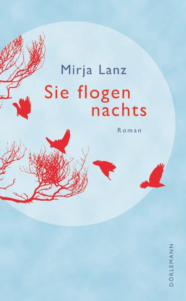 Cover von Sie flogen nachts