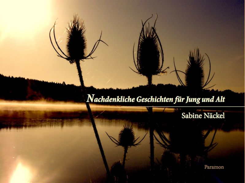 Cover von Nachdenkliche Geschichten für Jung und Alt