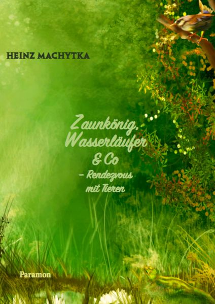 Cover von Zaunkönig, Wasserläufer & Co.