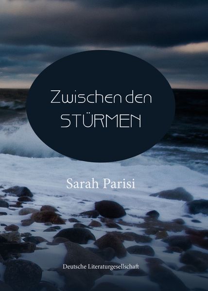 Cover von Zwischen den Stürmen