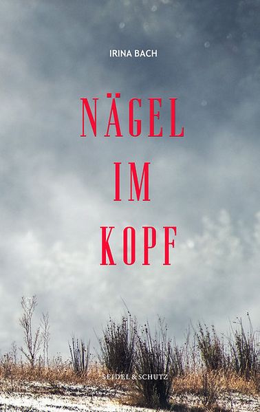 Cover von Nägel im Kopf
