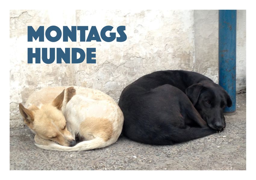 Cover von Montagshunde