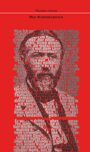 Cover von Der Schimmelreiter. Novelle