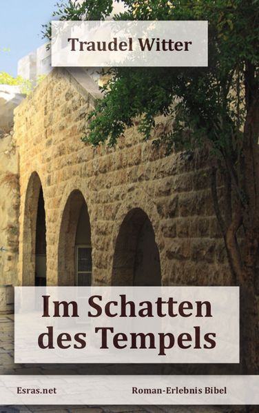 Cover von Im Schatten des Tempels